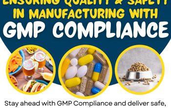 GMP Certification in USA